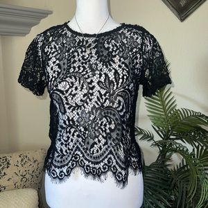 Gorgeous Dainty Sheer Black Scalloped Lace Top